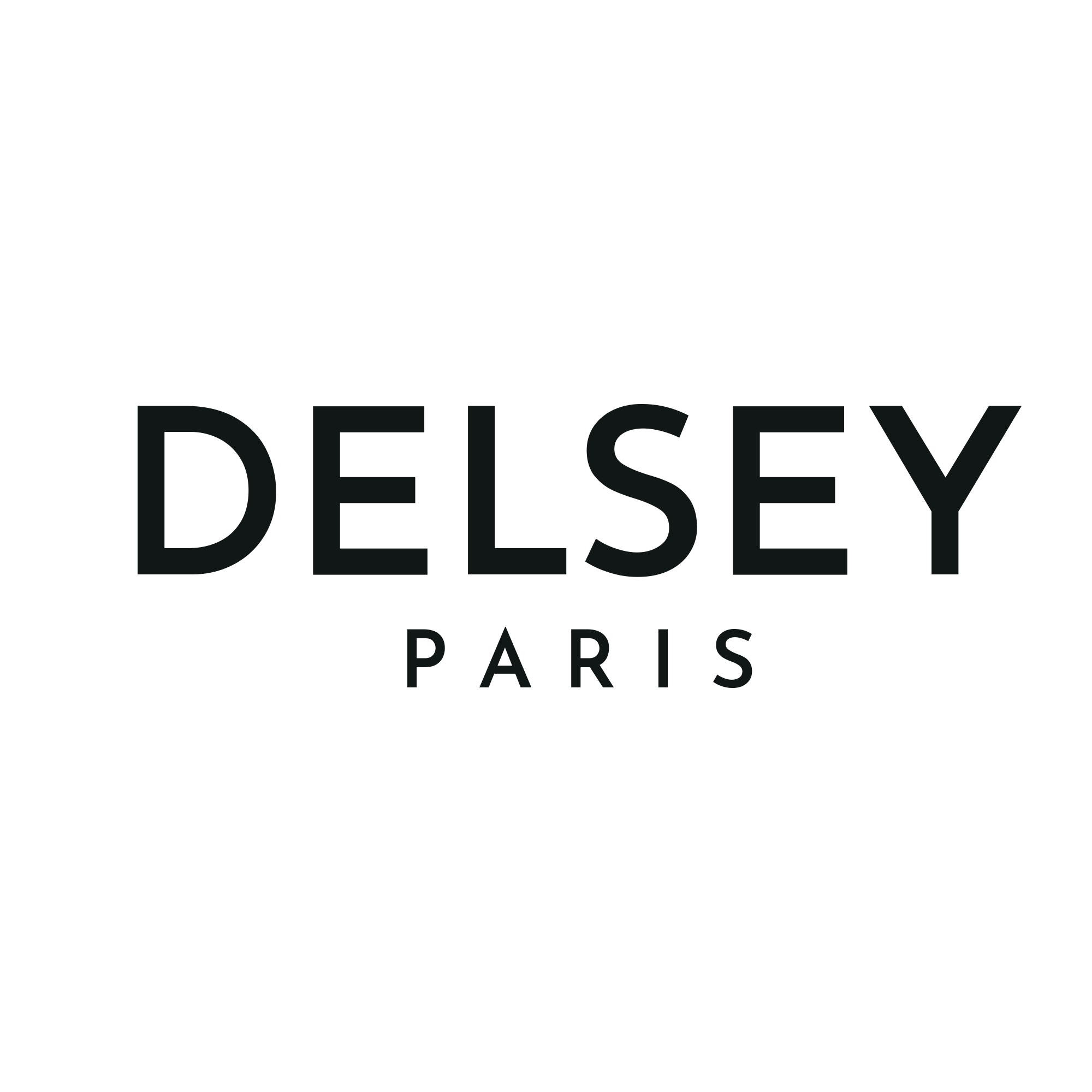 Delsey cheap smart luggage