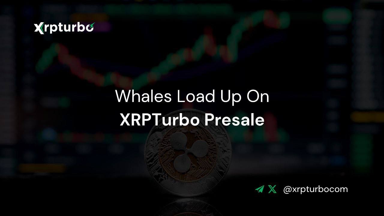 XRPTurbo