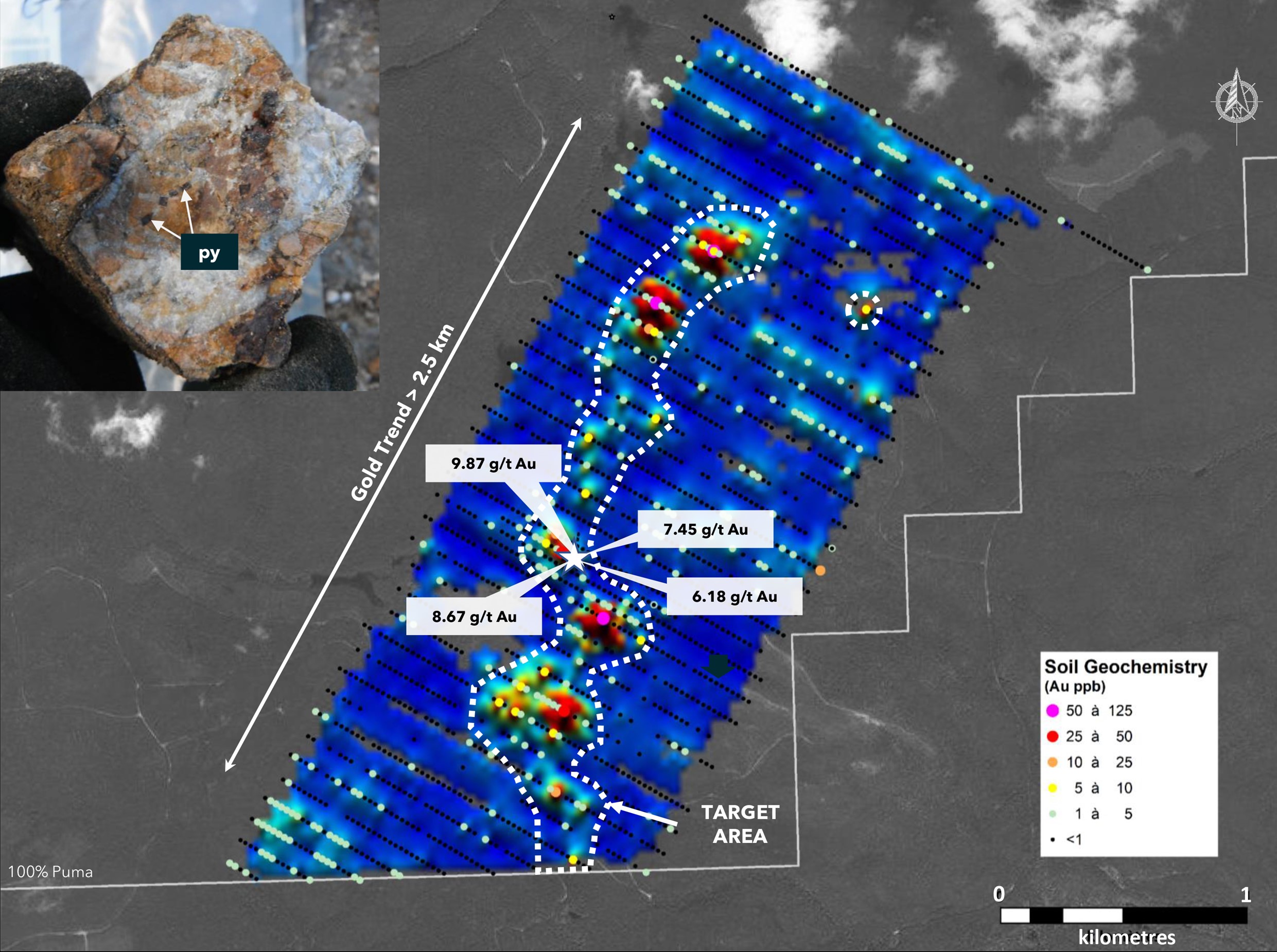 Grab samples and gold soil anomalies at the Panthera Gold Zone