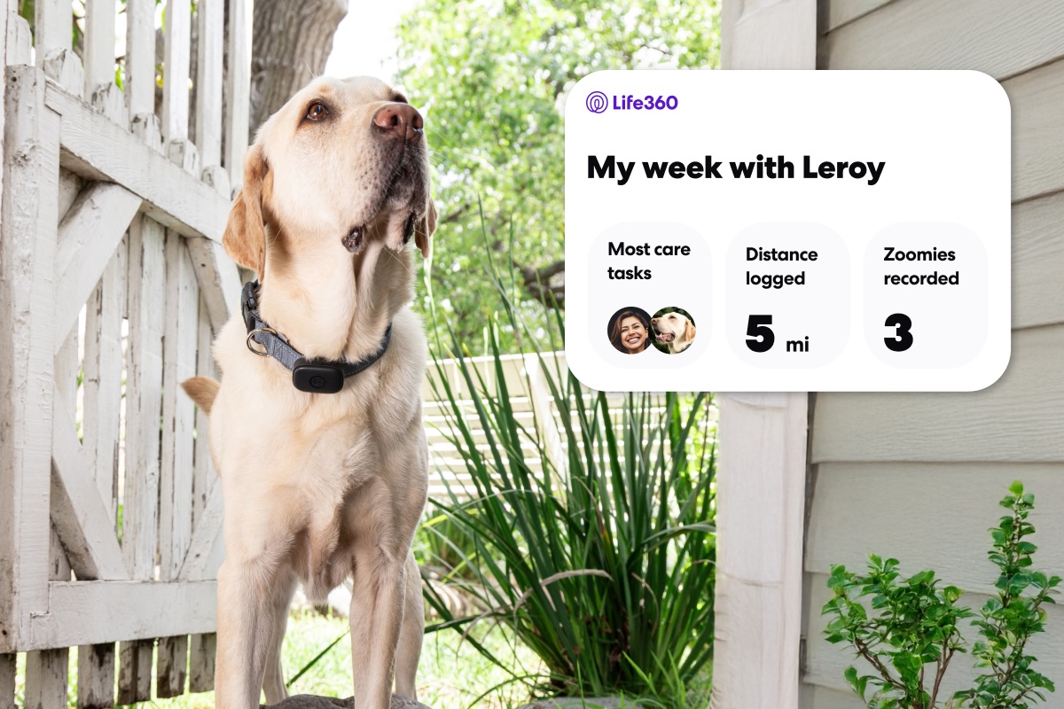 Life360 Pet GPS Image