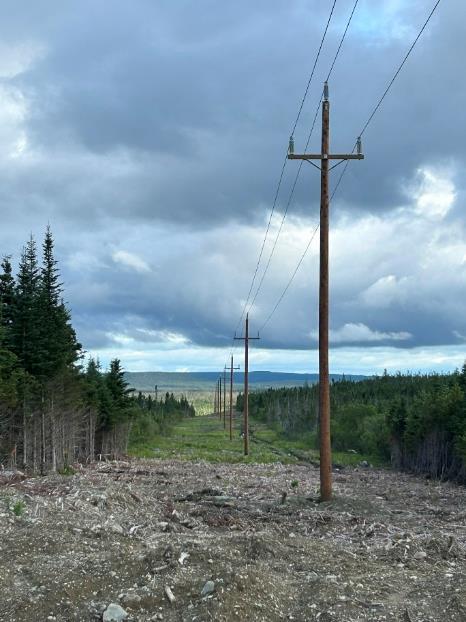 The Project's 66kv Powerline