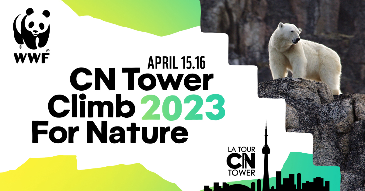 WWF's CN Tower Climb for Nature