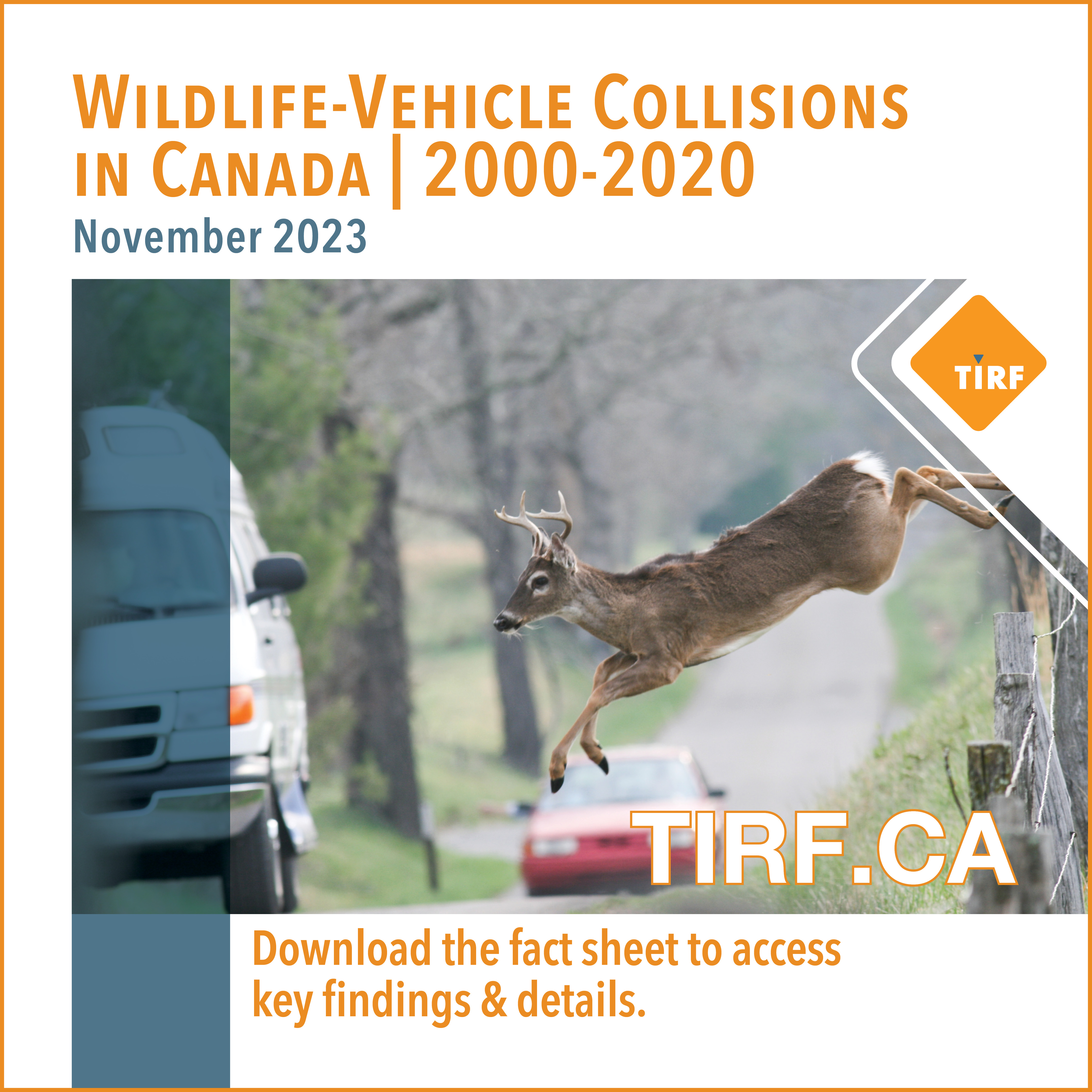 TIRF - WVC in Canada-Main Ad-2