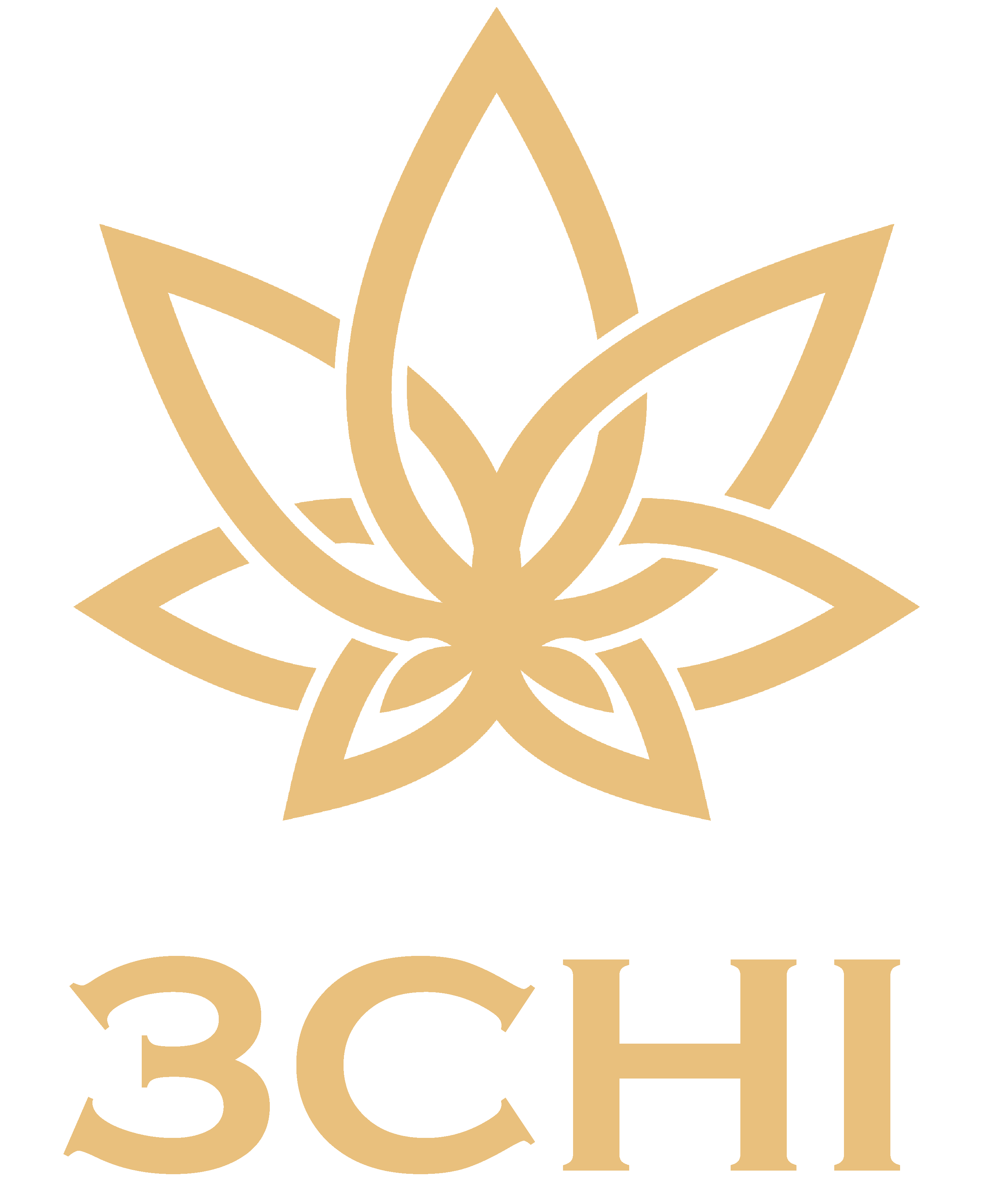 3CHI Logo