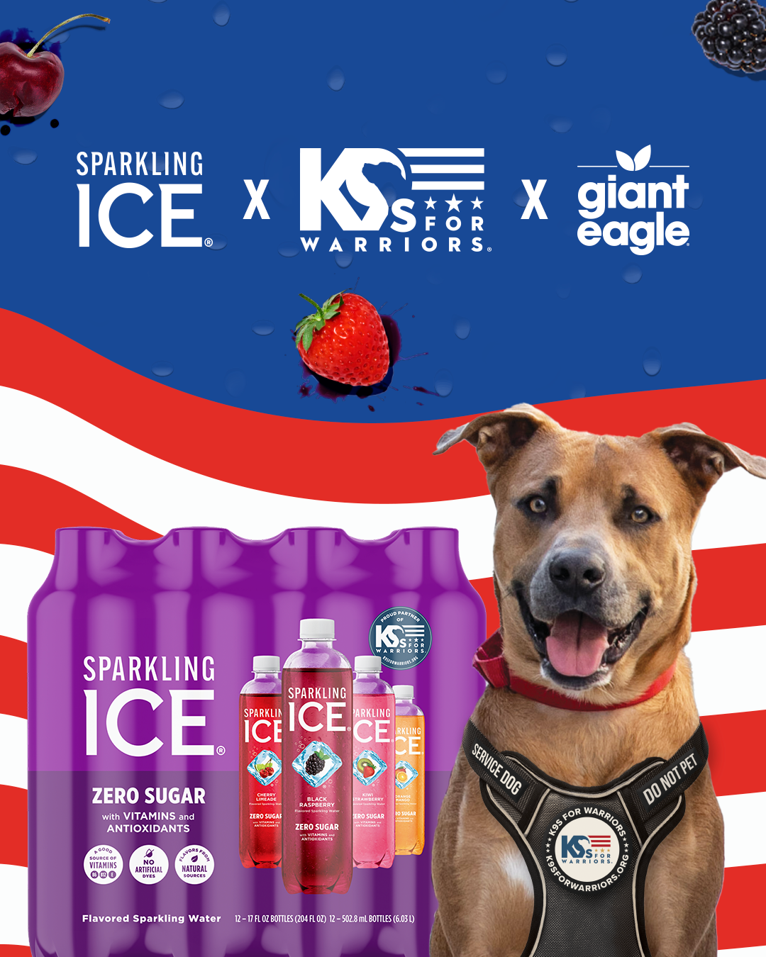 A brown service dog sits beside a Sparkling Ice Purple Variety 12-pack and four bottles with Sparkling Ice, K9s For Warriors and Giant Eagle logos.
