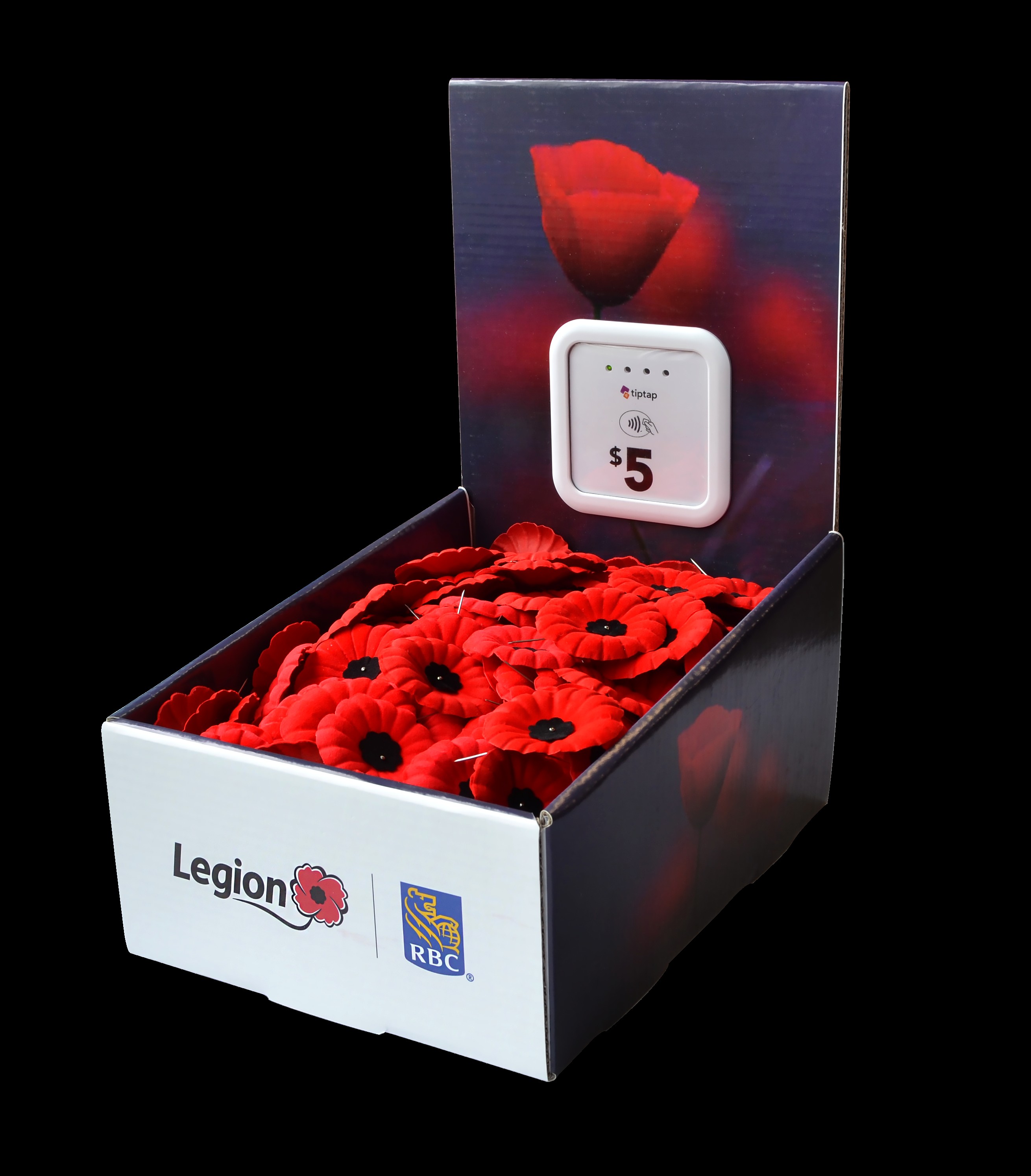 Aperçu : Campagne du coquelicot de 2025