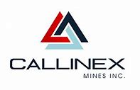 Callinex Logo.jpg