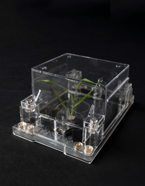 A fabricated ecosystem (EcoFAB), a standardized device for reproducible aseptic plant growth, sampling of the growth medium, and determination of plant-microbe interactions.