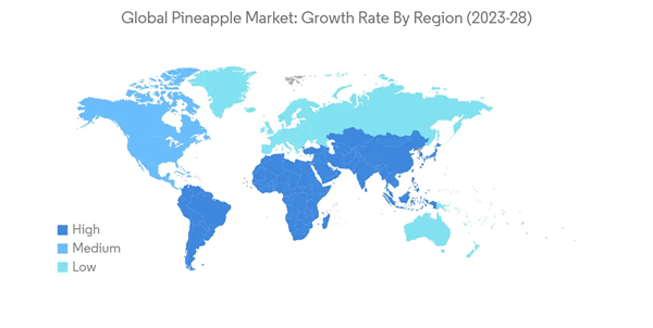 Know Your Produce Commodity  Pineapple Market & Industry Summary