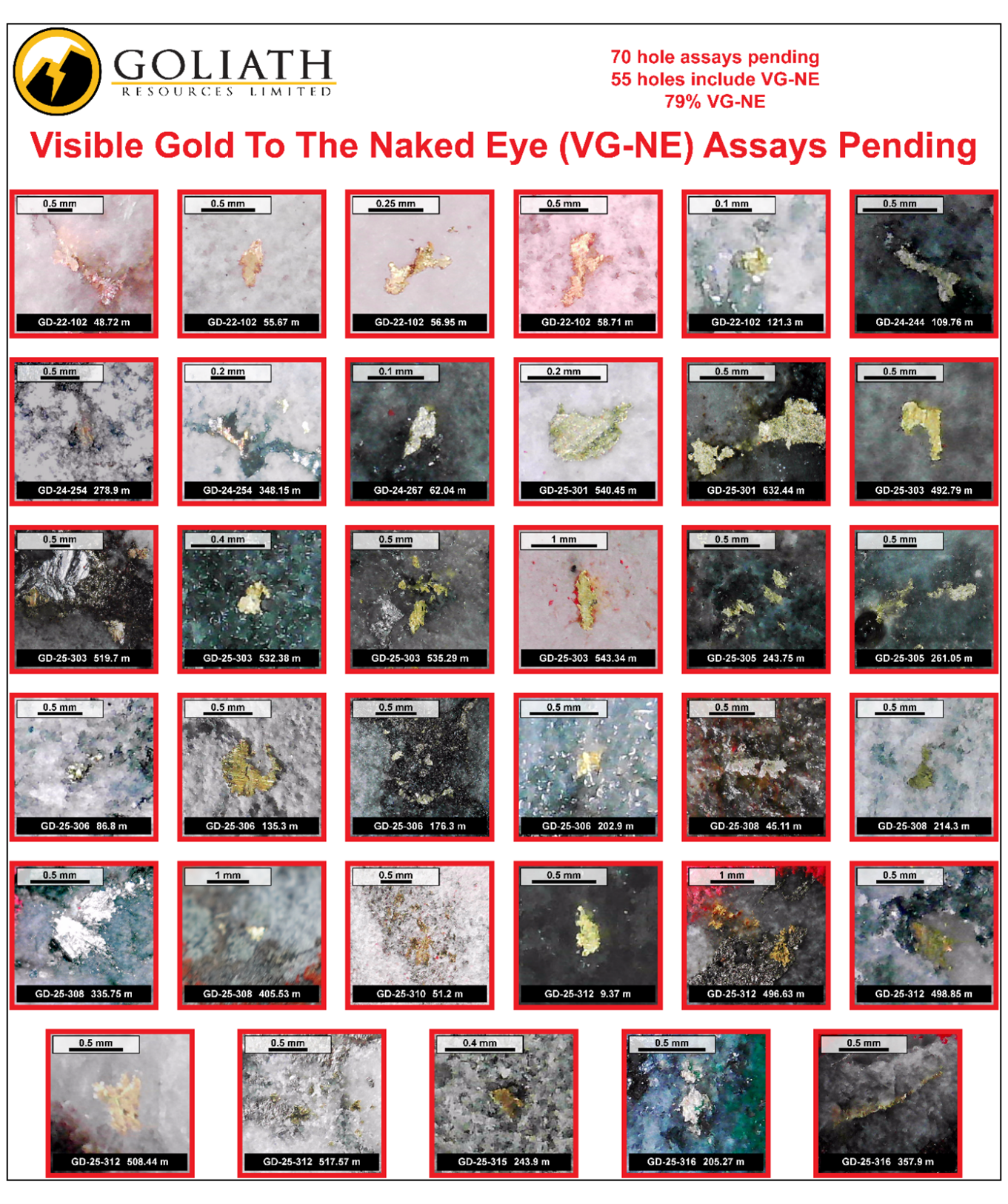 Goliath Reports 10 High-Grade Holes Up To 7.28 g/t Au Over 8.00 Meters Within 5.85 g/t Au Over 10.00 Meters In RIRG Dyke (417m - 427m downhole and 500m Above Valley Floor) At The 1.8 Km2 Surebet Discovery That Remains Open, Golddigger Property, Golden Triangle, B.C.