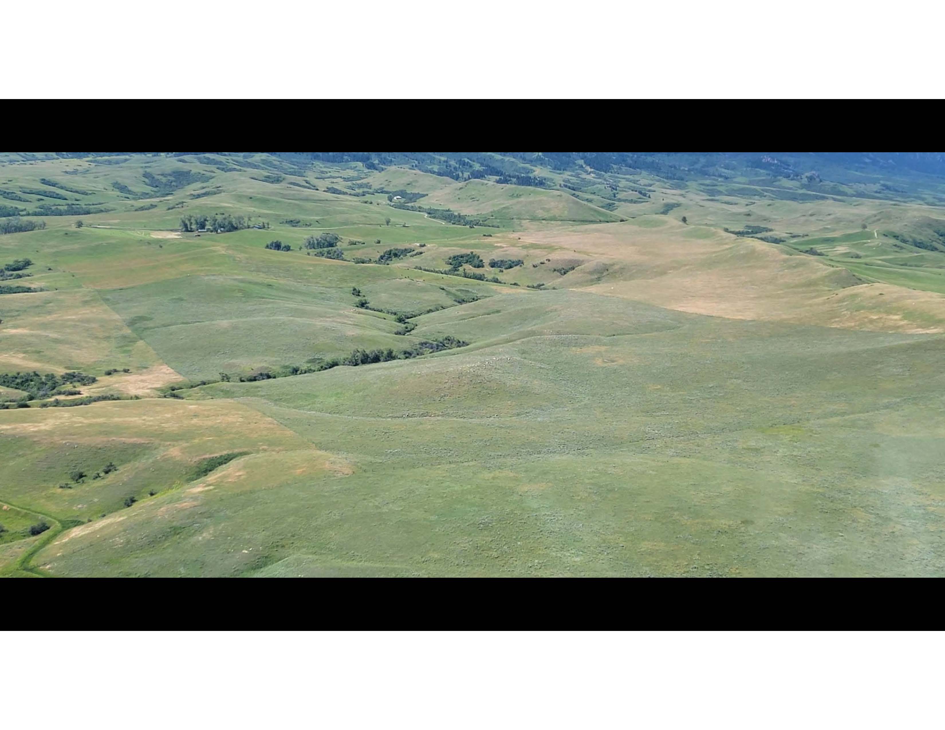 Arial View of Rejuvra Controlled Grassland