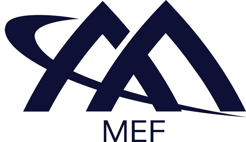 MEF Launches Enterprise Leadership Council with Esteemed