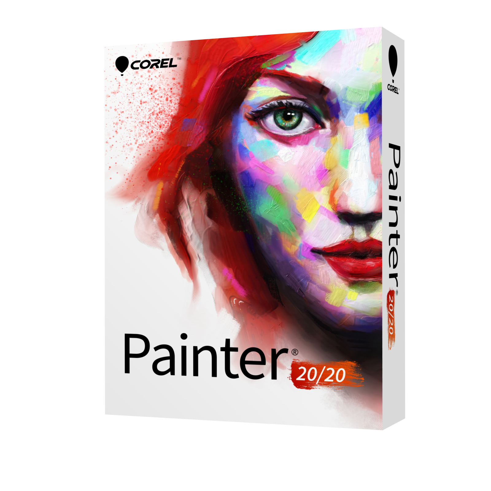 Painter 2020