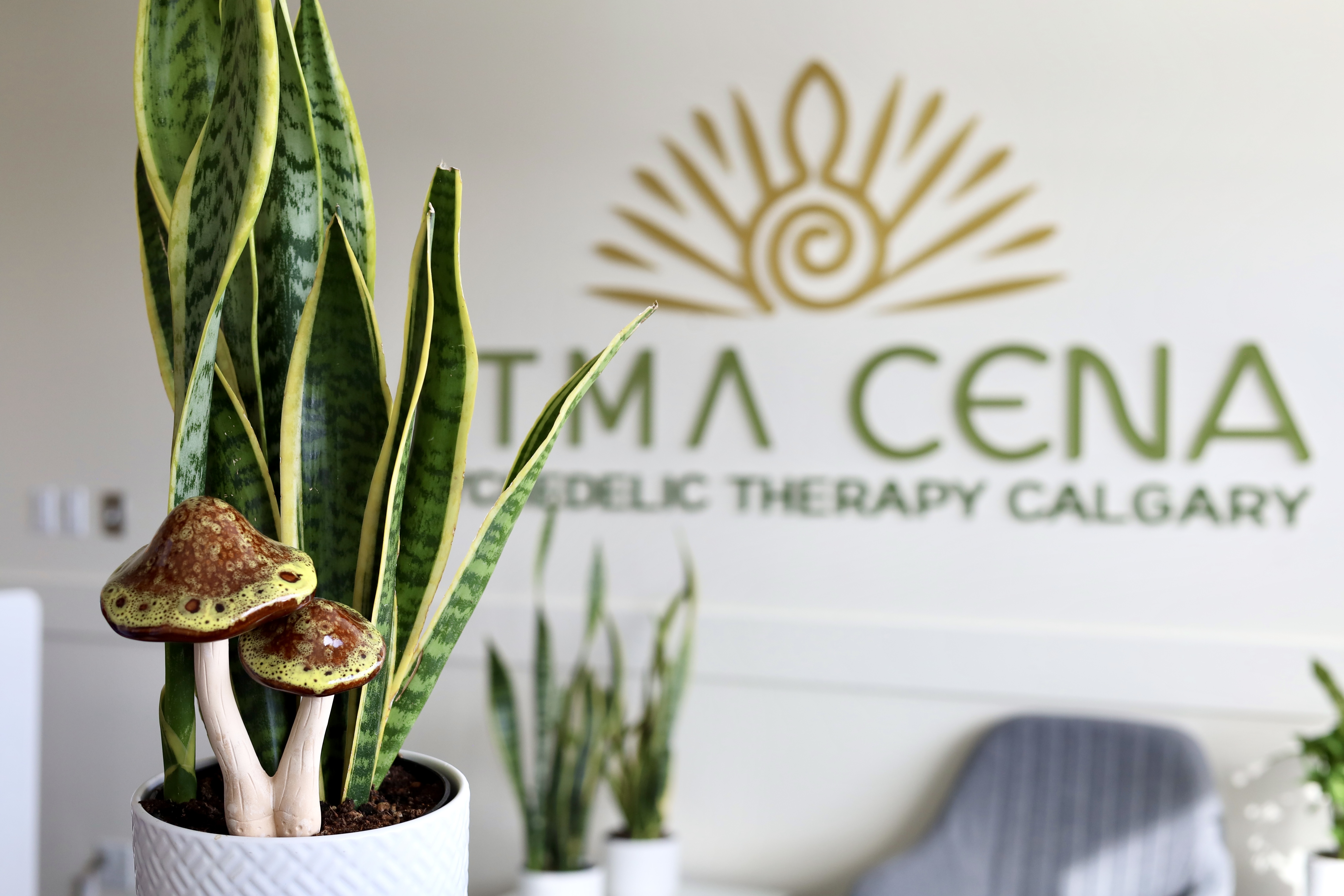 ATMA CENA_PR_Original