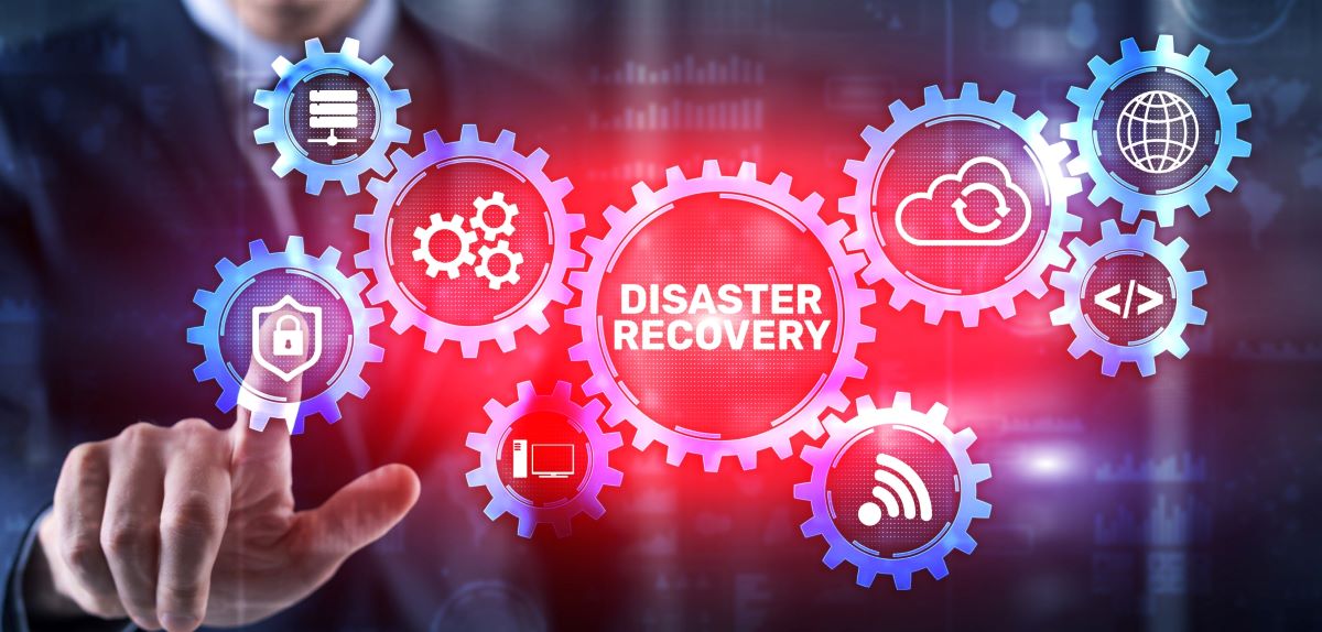 shutterstock_2016365837_rev size SM