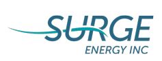 Surge Logo.JPG