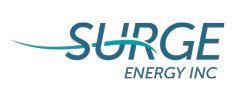 Surge Logo.JPG