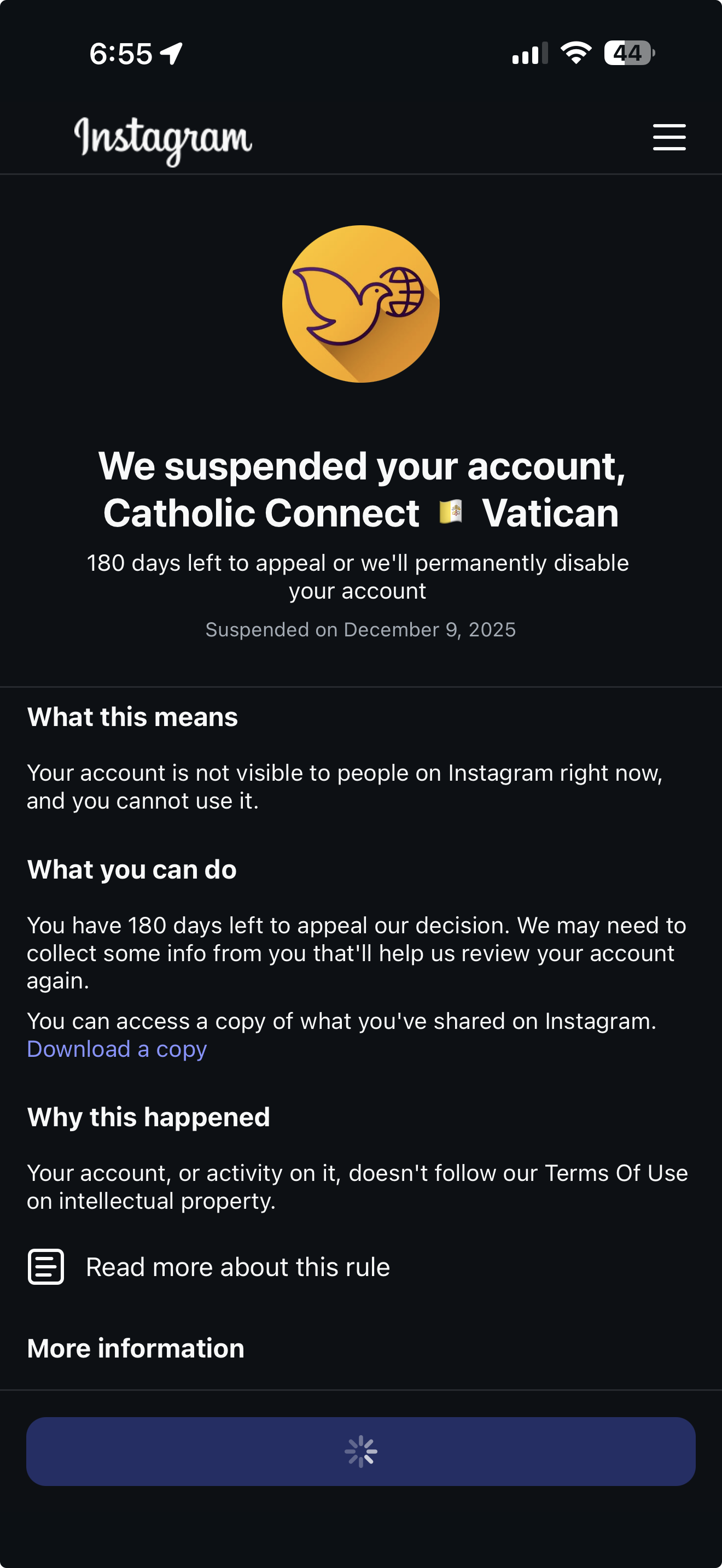 Instagram Notification to Catholic Connect