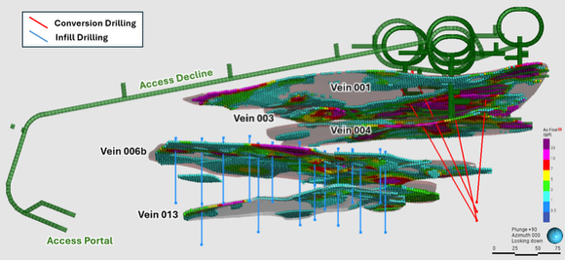 Figure 1. Plan view showing Rowan Veins 001, 003, 004, 006b and 013 with proposed infill and conversion drilling and current PEA underground mine design image