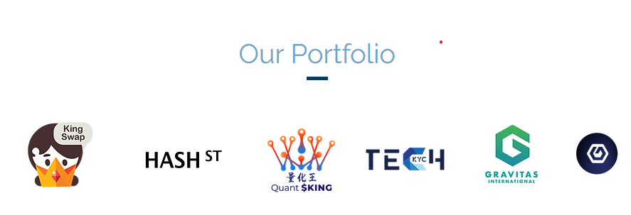 Technicorum Holdings Portfolio