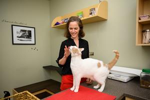 Dr. Margaret Gruen, NC State Feline Health Center