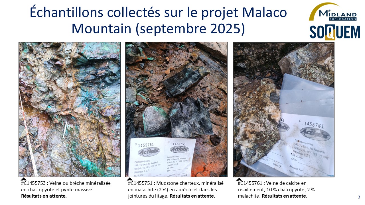 Figure 3 Échantillons collectés sur le projet Malaco Mountain (septembre 2025)