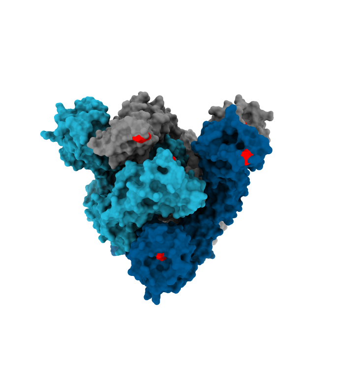 Coronavirus Spike Protein 2.0