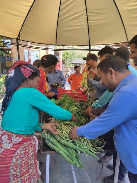 Taking Vegetables to Market