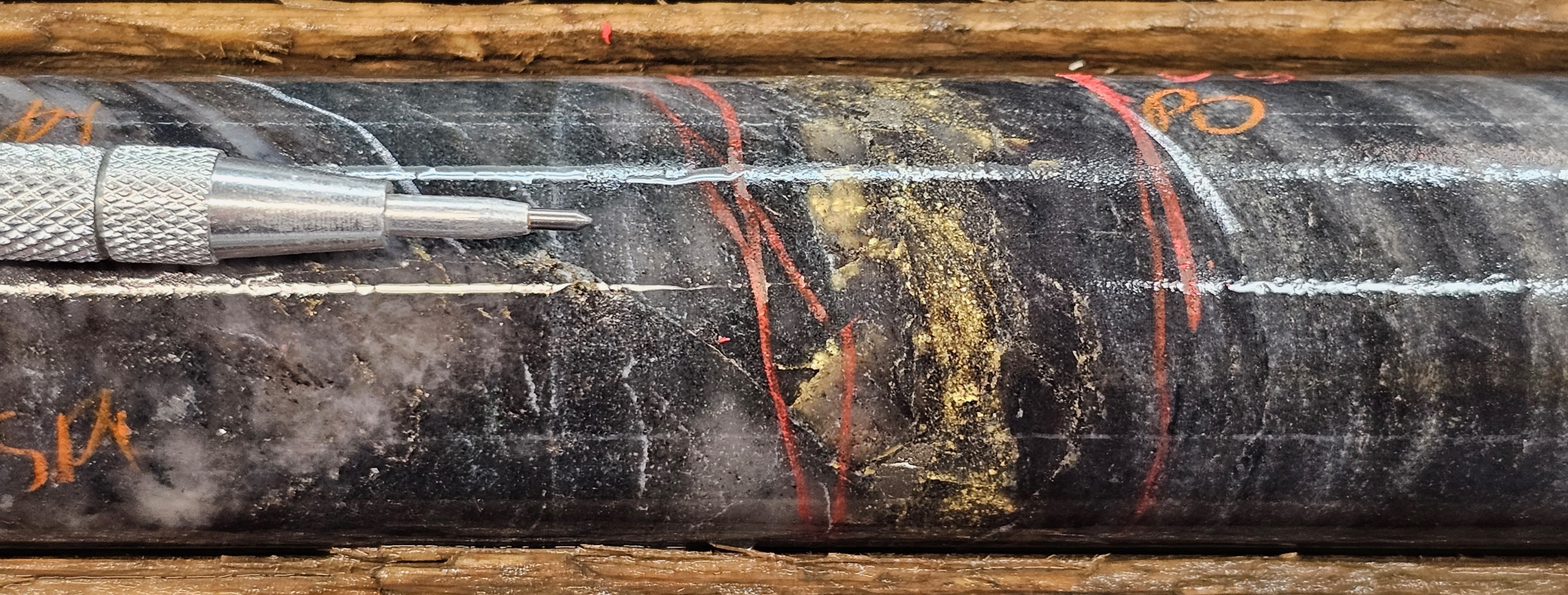 Figure 1. Visible gold showing in hole MM25D-12-4860-004 at 40.8m downhole depth. image