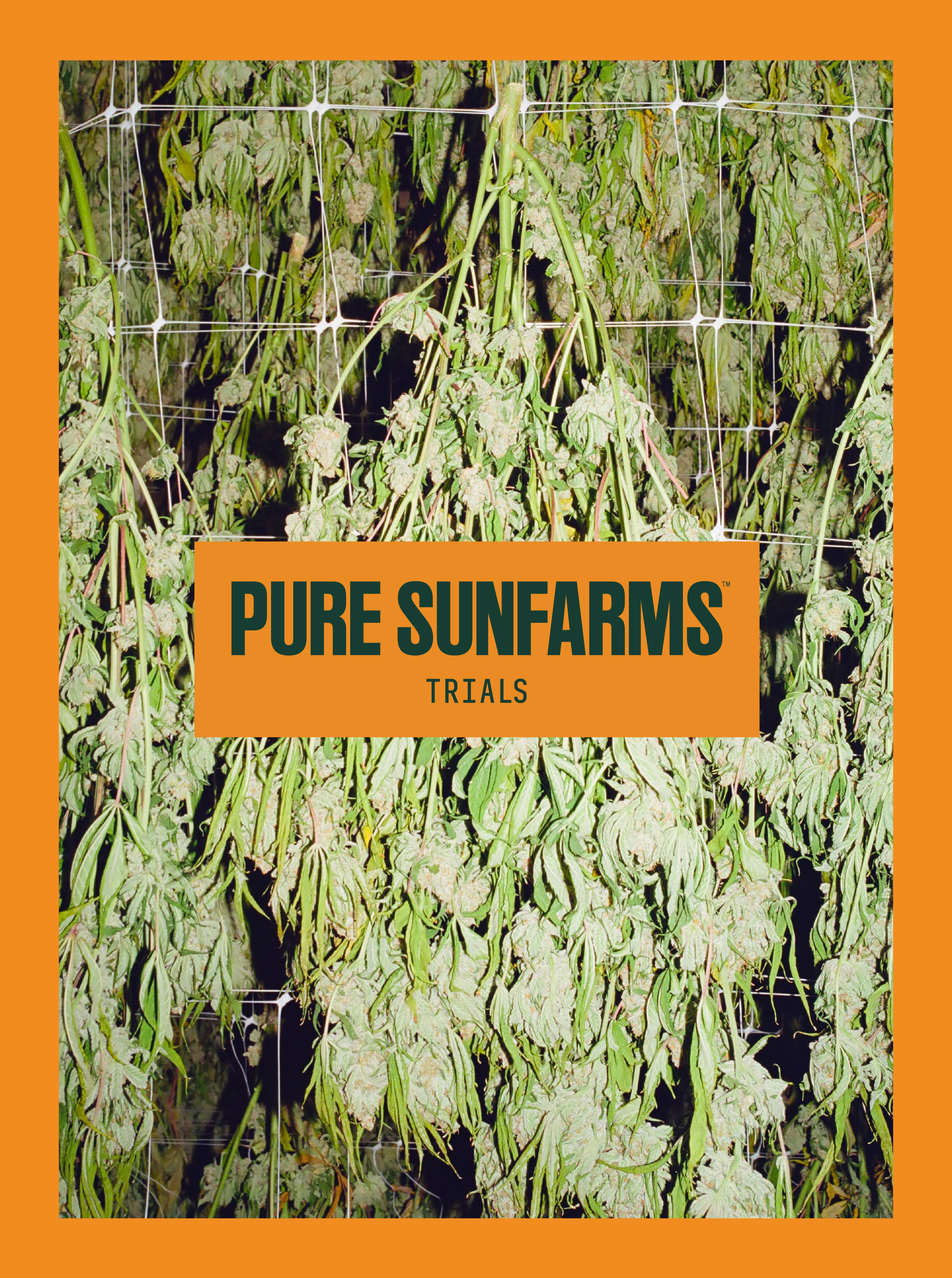 Trials by Pure Sunfarms