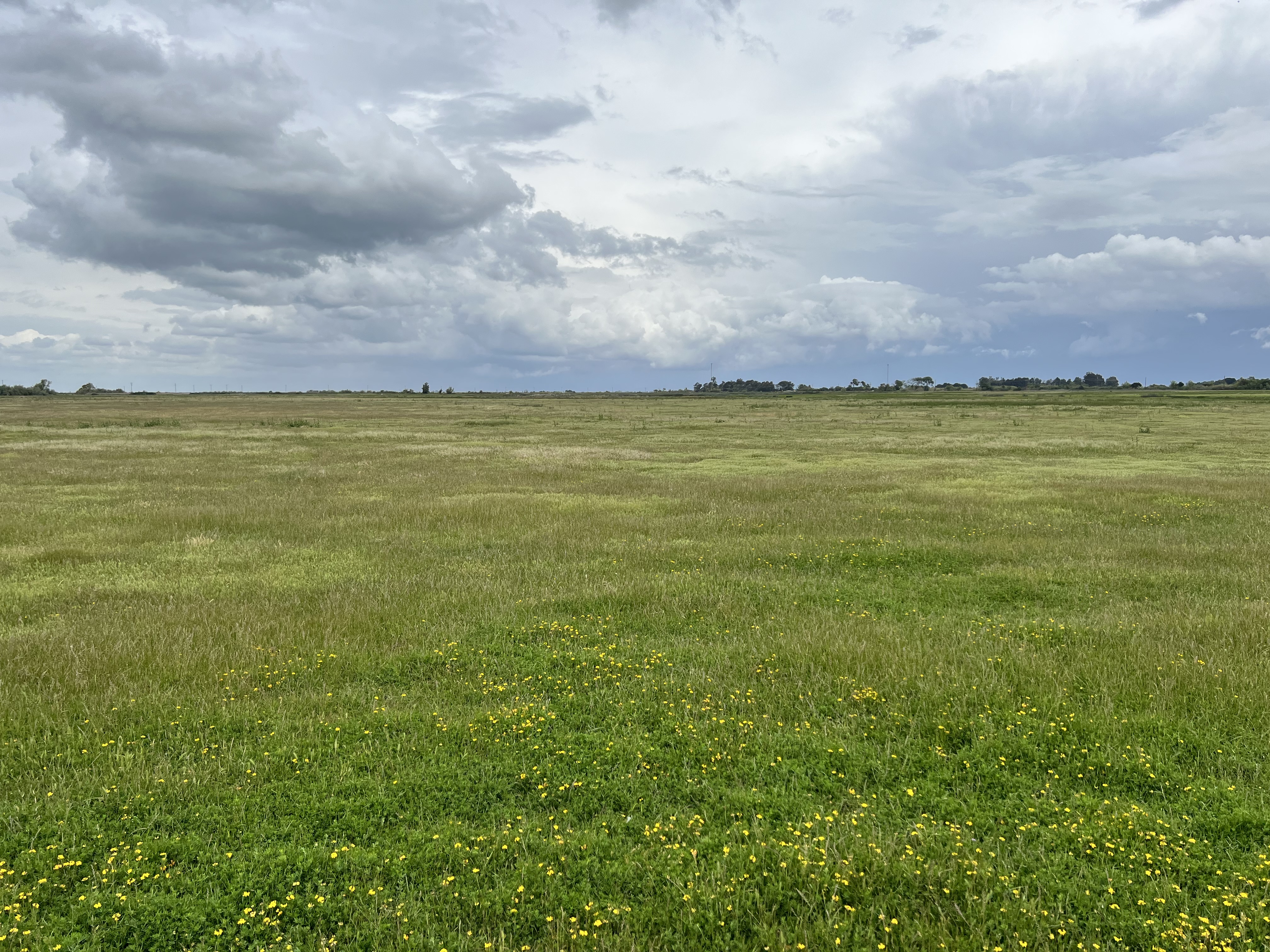 Cache Slough Mitigation Bank Approved in Solano County, California