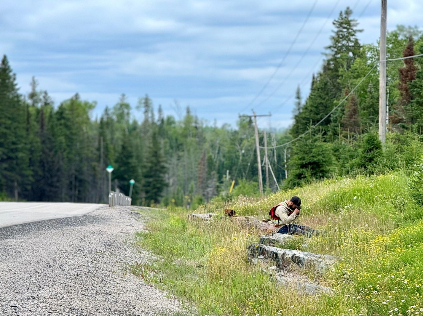 Byron Holbik of Holbik Exploration prospecting roadcut exposures on the Trans Canada Highway on the Empire property just west of Upsala, Ontario.