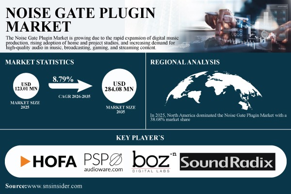 Noise Gate Plugin Market