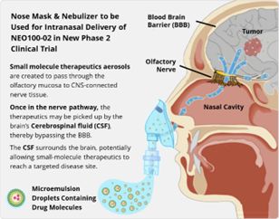 Nose Mask & Nebulizer