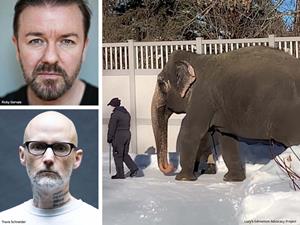 Ricky Gervais, Moby, Lucy at Edmonton Valley Zoo