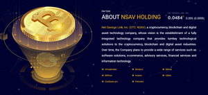 ABOUT NSAV HOLDING