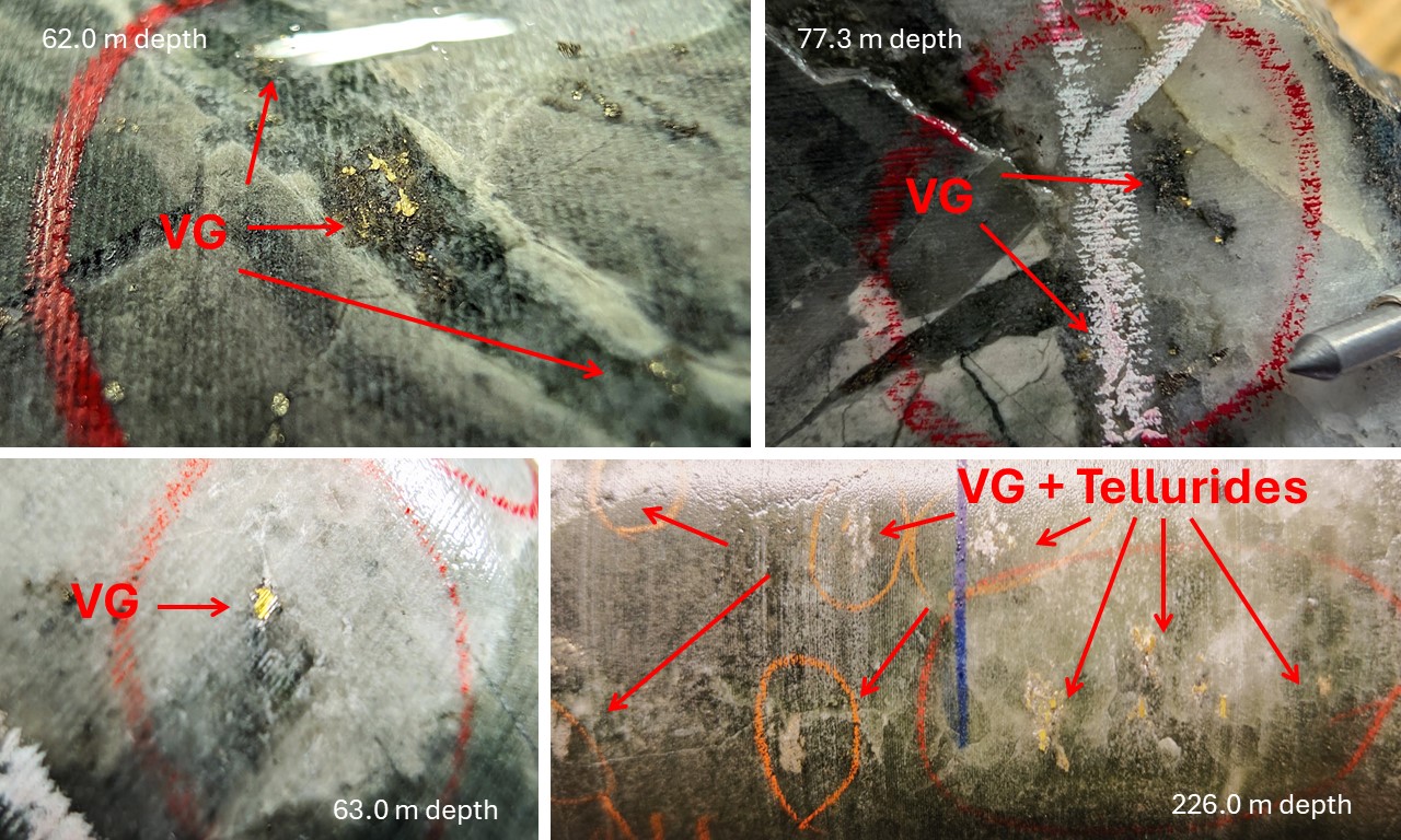 Figure 5: Visible Gold Core Photos of Hole ALJ-24-012 