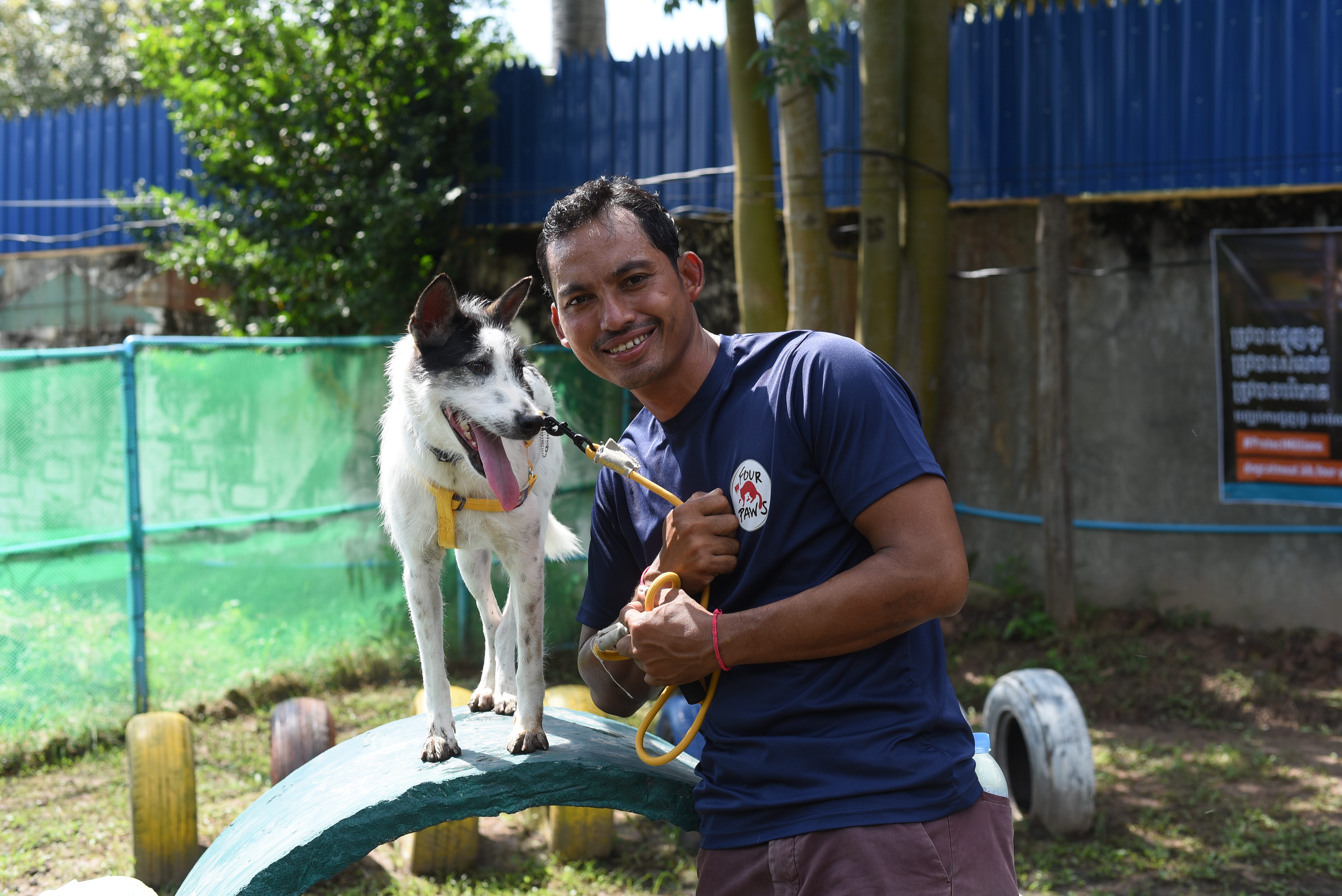 FOUR PAWS and dog Rocket in Cambodia