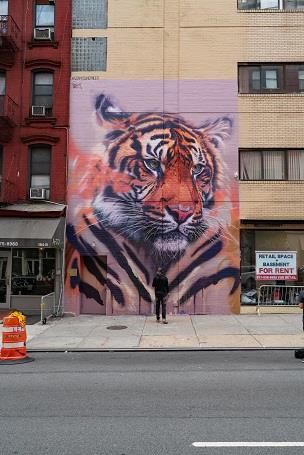 Tiger Mural by Sonny Sundancer and FOUR PAWS