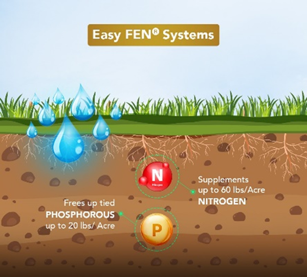 Easy FEN Systems