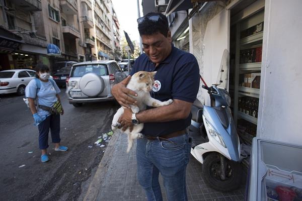 Lebanon, Beirut | Aug. 2020 | Rapid response and emergency help after explosion at the harbour in Beirut. #SupportBeirutAnimals

© FOUR PAWS