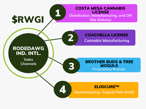 $RWGI Sales Channel for 2024 and Beyond 
