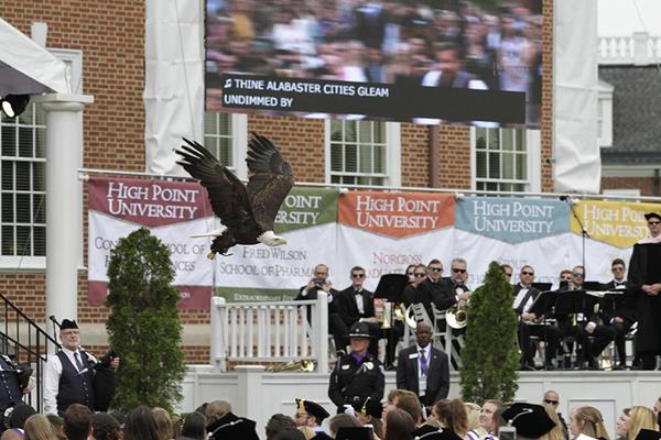 As is tradition during the HPU Commencement ceremony, a bald eagle will soar across the graduates, symbolizing the ideals of free enterprise, independence and the ability to pursue new opportunities in America. 