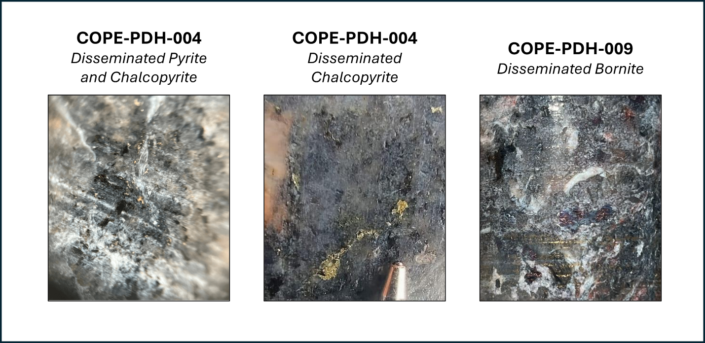 Figure 3: image