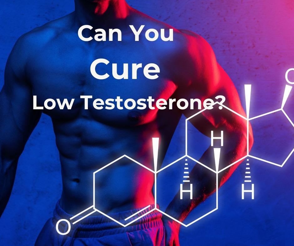 Men Across the U.S. Turn to Natural Testosterone Support: Blue Ribbon LLC Highlights Effective Wellness Formula
