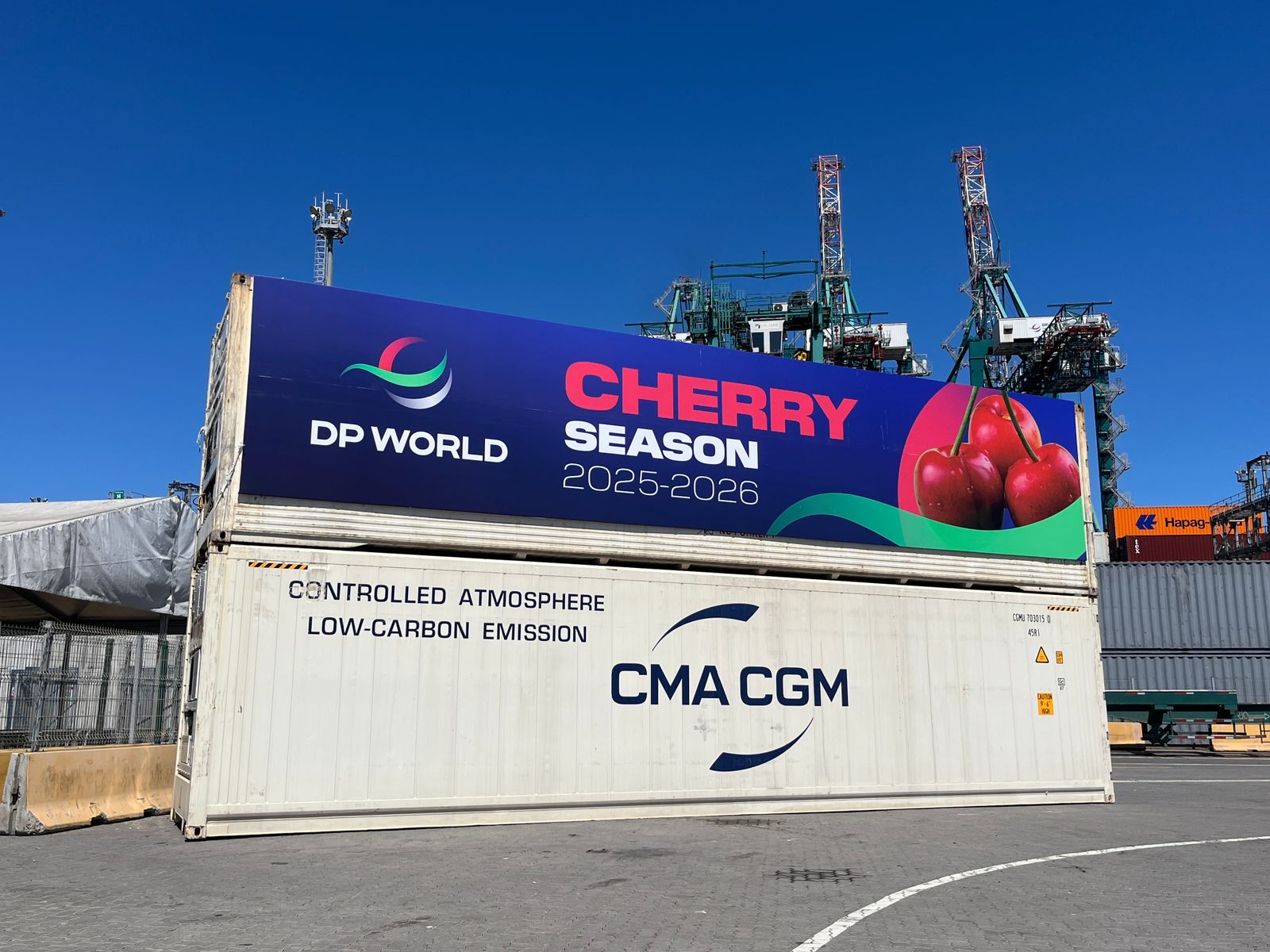 DP World Powers Chile’s Cherry Export Boom Ahead of Chinese New Year