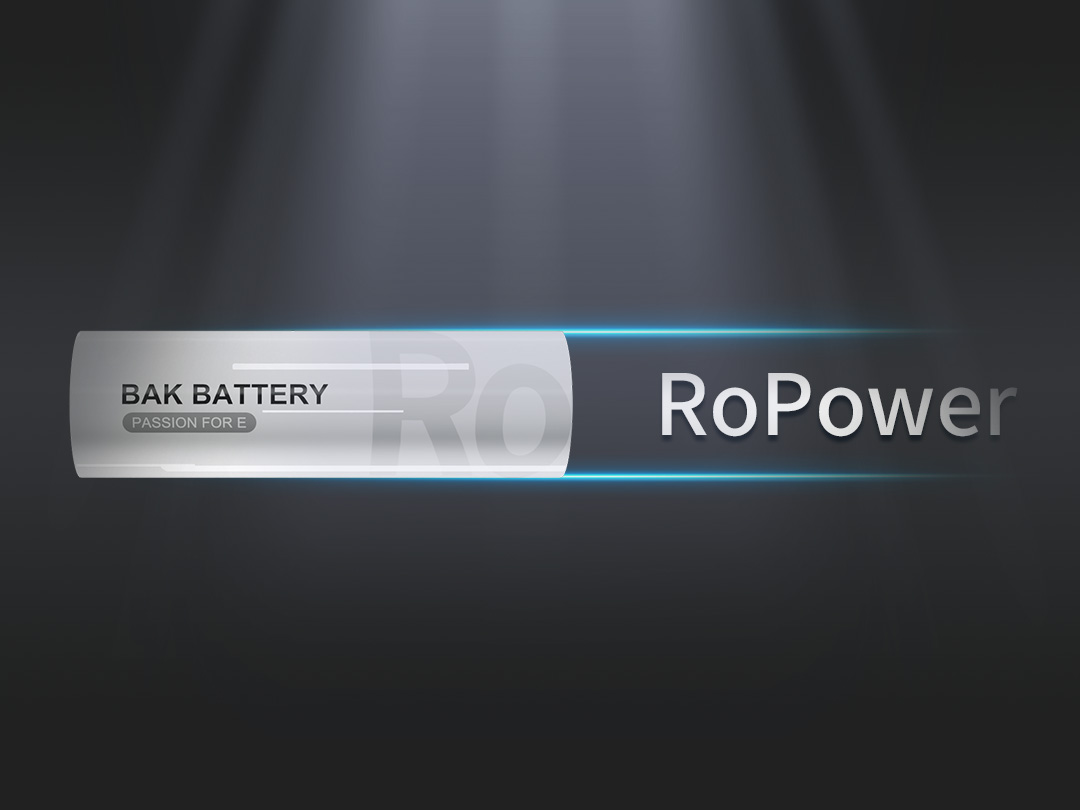 BAK Battery RoPower