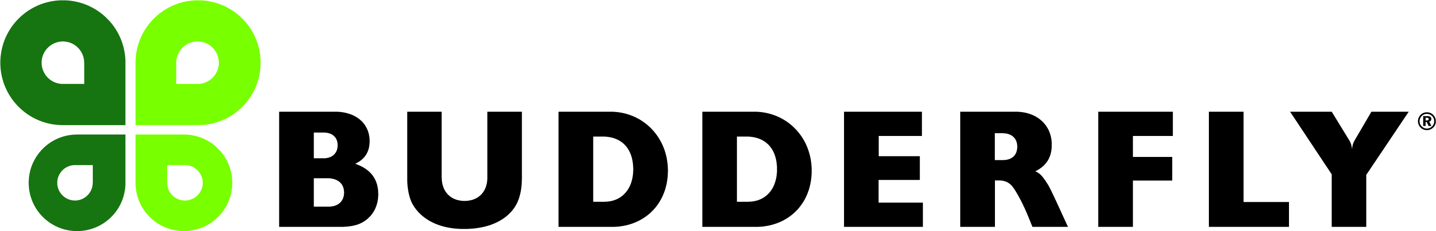 budderfly logo color.jpg