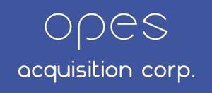 Opes Logo.jpg