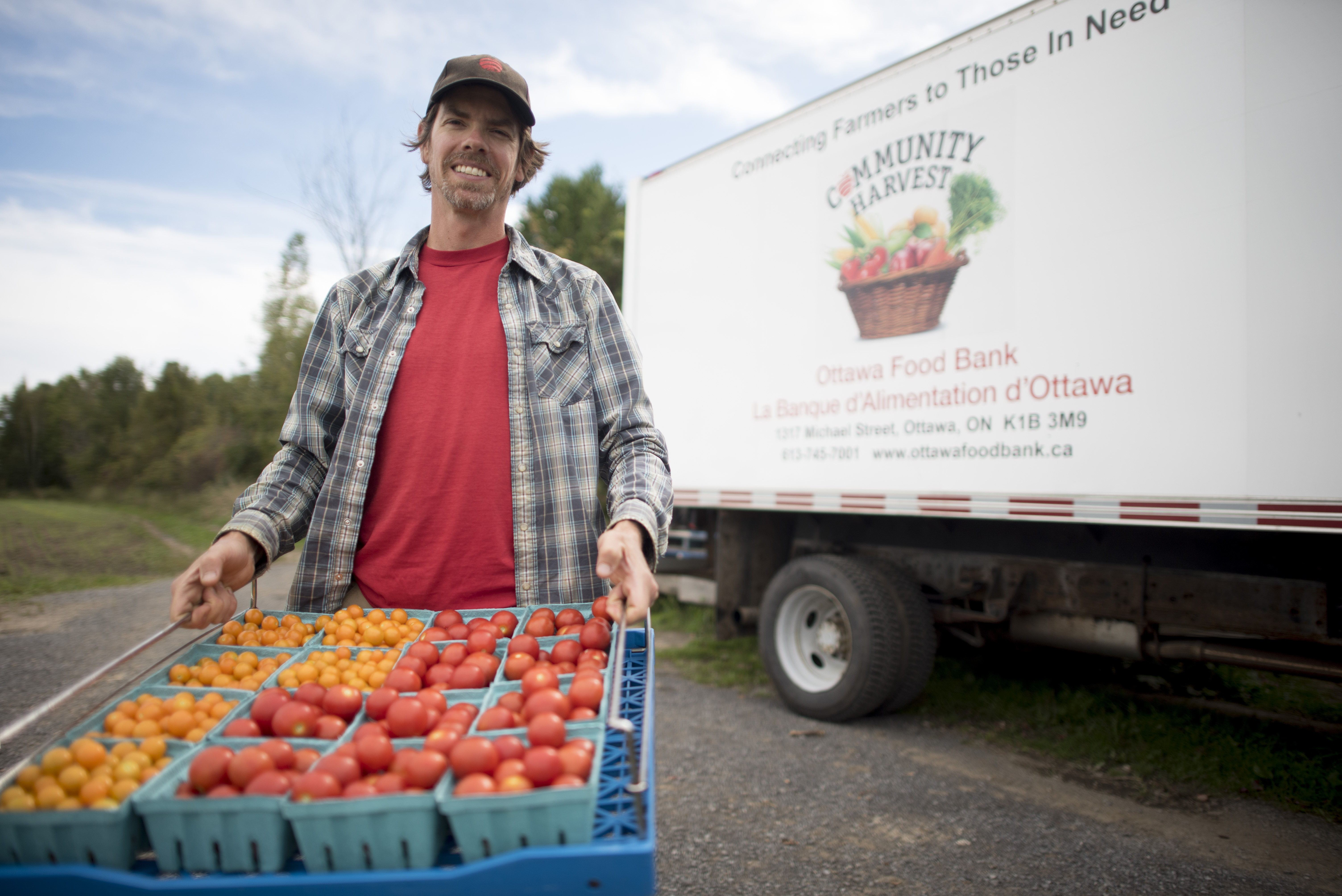 An employee holding a tray full of tomatoes.